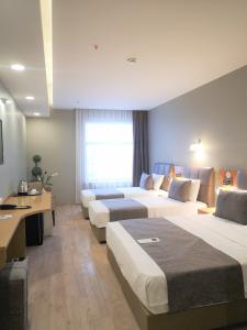 Deluxe Üç Kişilik Oda , Şehir Manzaralı, 