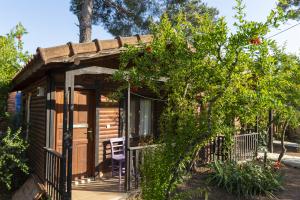 Bungalow, Veranda Manzaralı, 