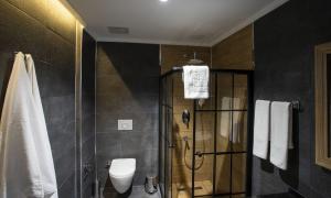 Deluxe Suit 1+1 Oda, Şehir Manzaralı, Balkonsuz