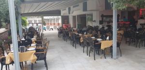 Şen Apart Turunç
