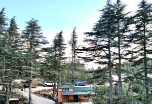 Tiny House, Orman Manzaralı, Balkon veya Teraslı