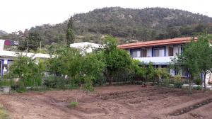 Ege Pansiyon & Restorant Mazı