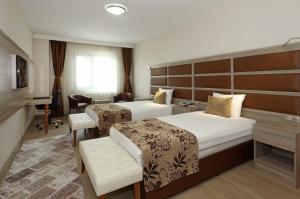 Deluxe Oda, Şehir Manzaralı, 