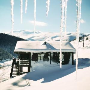 Bungalow, Bahçe Manzaralı, 