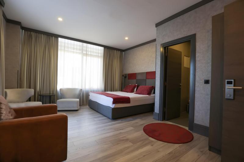 Deluxe Oda, Şehir Manzaralı, 