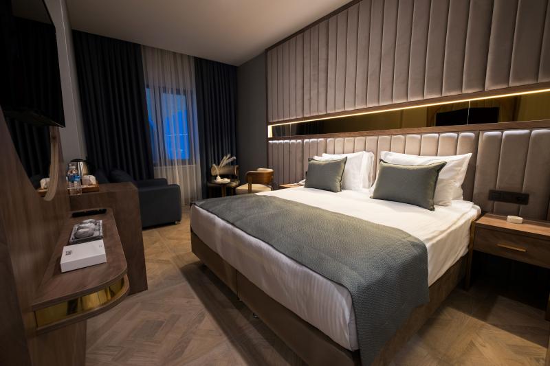 Standart King Room, Şehir Manzaralı, 