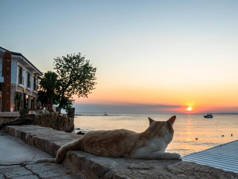 Carpe Diem Boutique Hotel - Adults Only - 3