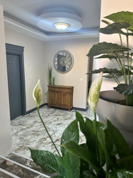 Davidson Boutique Hotel - 5