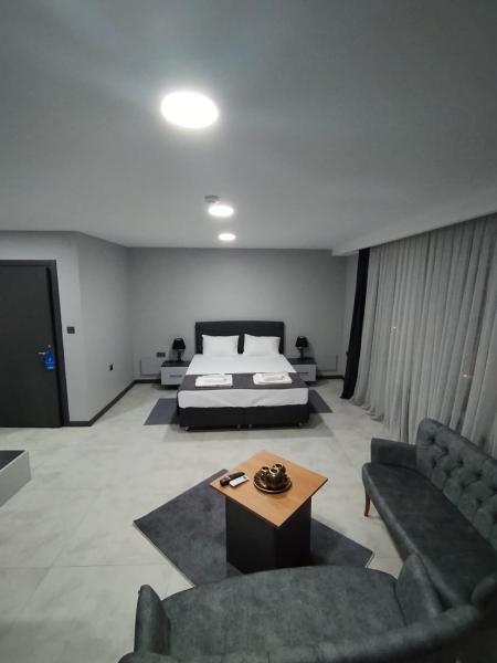 Standart VIP Oda, Bahçe Manzaralı, Klimalı