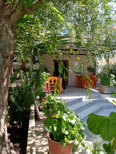 Zeytin Suit Bozcaada