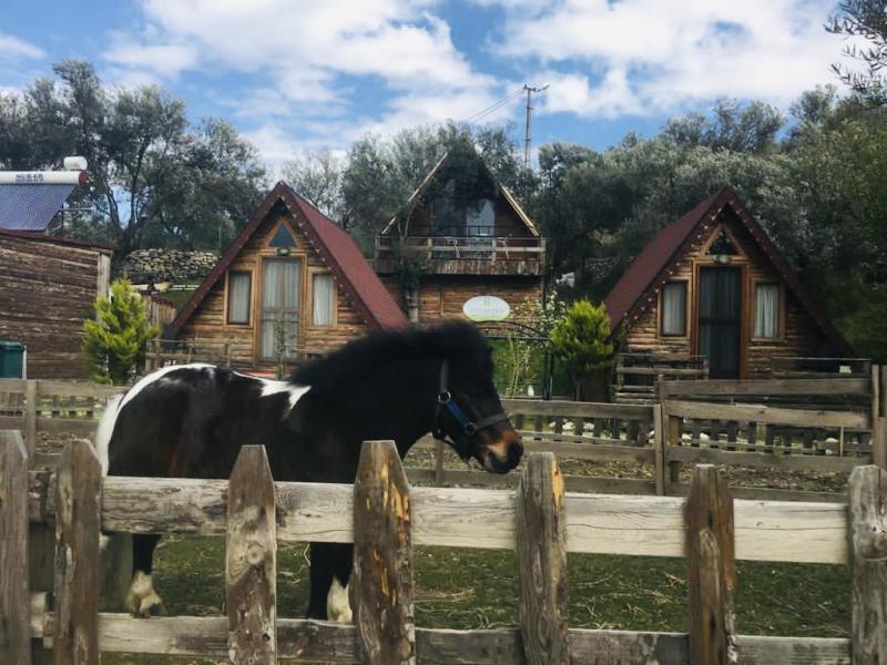 Şömineli Bungalow, Dağ Manzaralı, Şömineli ve Balkonlu