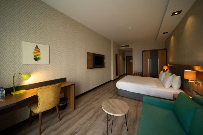 Premium Room, Kara Manzaralı, Klimalı