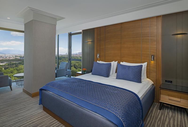 Premium Room, Şehir Manzaralı, 