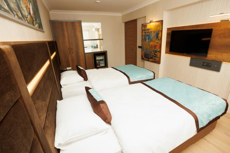 Deluxe Twin Oda, Şehir Manzaralı, 