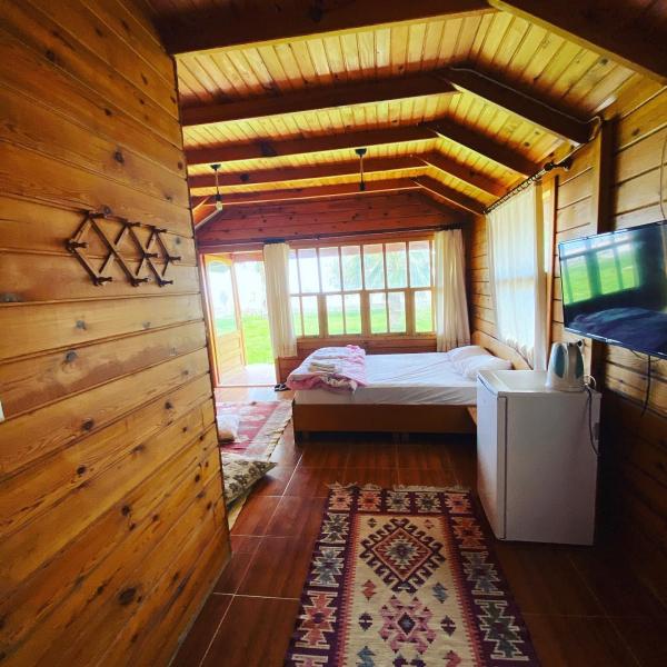Oda Tipi