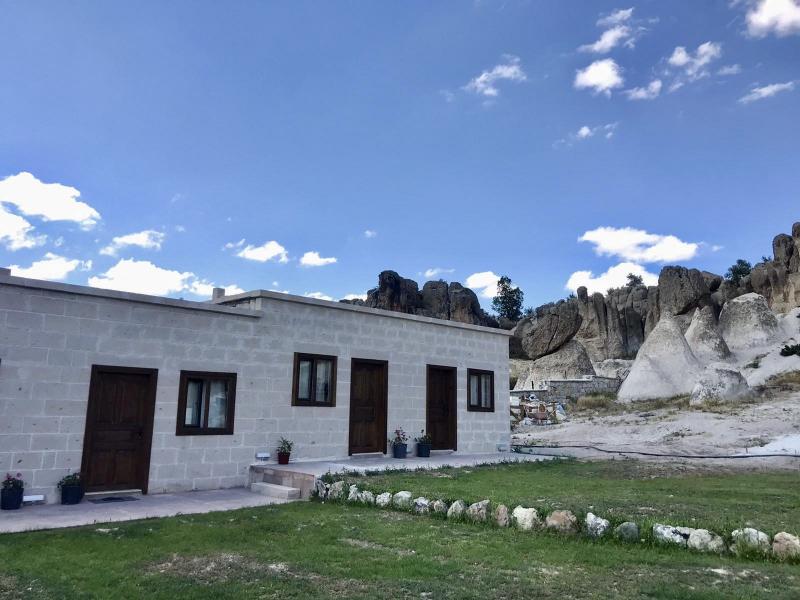 frigya organik koy evi afyonkarahisar etstur