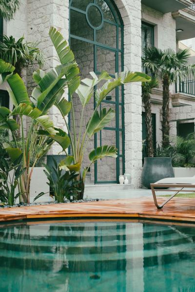 Derin Alaçatı - Adults Only - 2