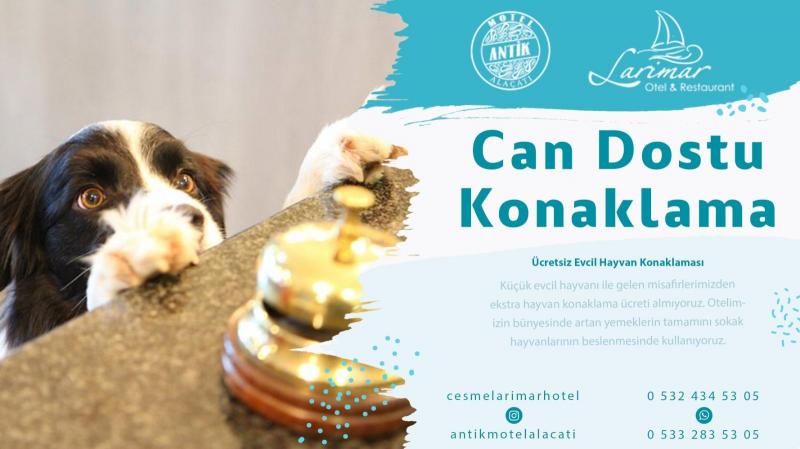 Çeşme Larimar Hotel - 4