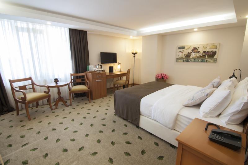 Deluxe Suite , Şehir Manzaralı, 