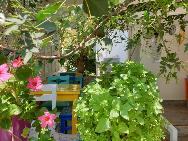 Limon Pansiyon Kaş - 4