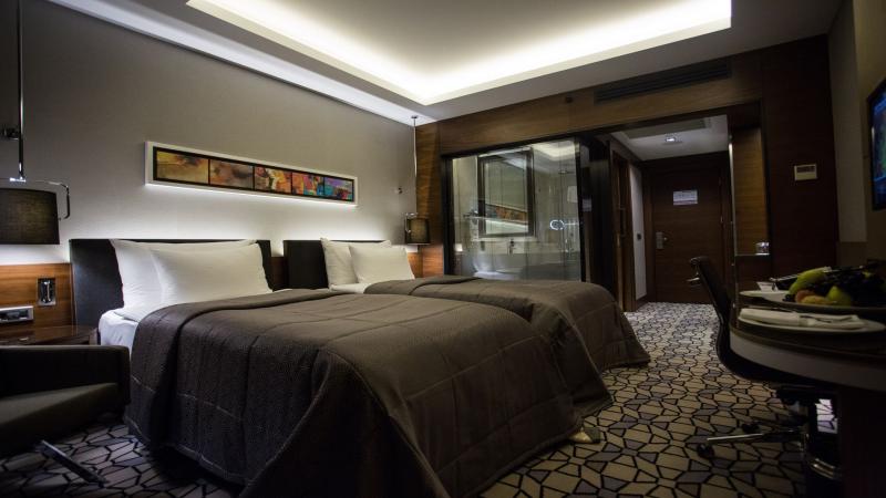 Deluxe Twin Oda, Şehir Manzaralı, Balkonsuz