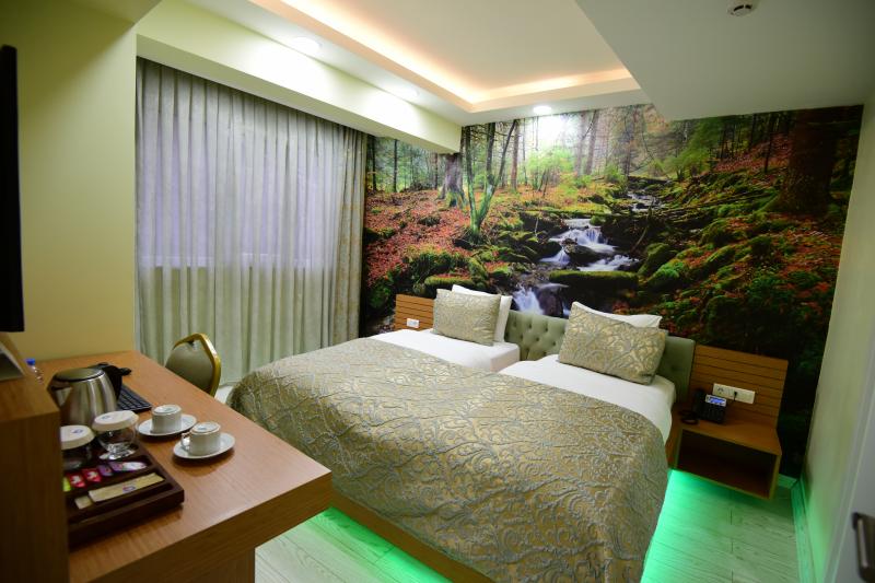 Twin or Double Deluxe Room