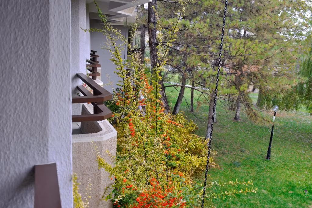 Ağaçlı Otel Aksaray — 3