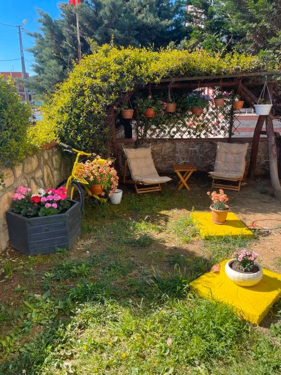 Ağva Manolyam — 3