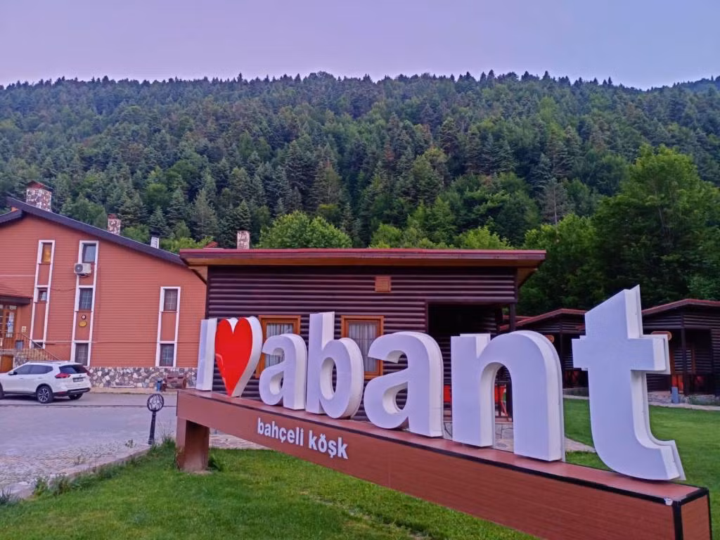 Abant Bahçeli Köşk — 8