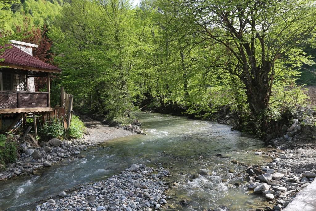 Abant Dört Mevsim Konağı (ALKOLSÜZ) — 4