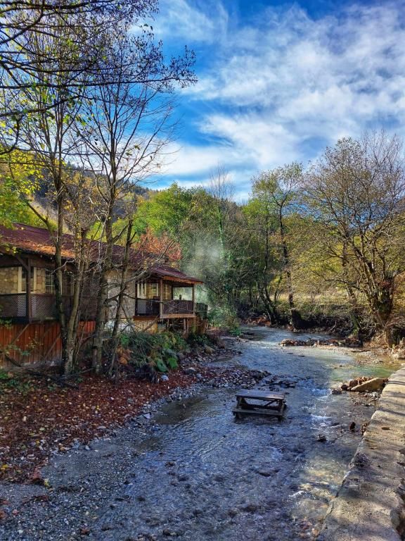 Abant Dört Mevsim Konağı (ALKOLSÜZ) — 6