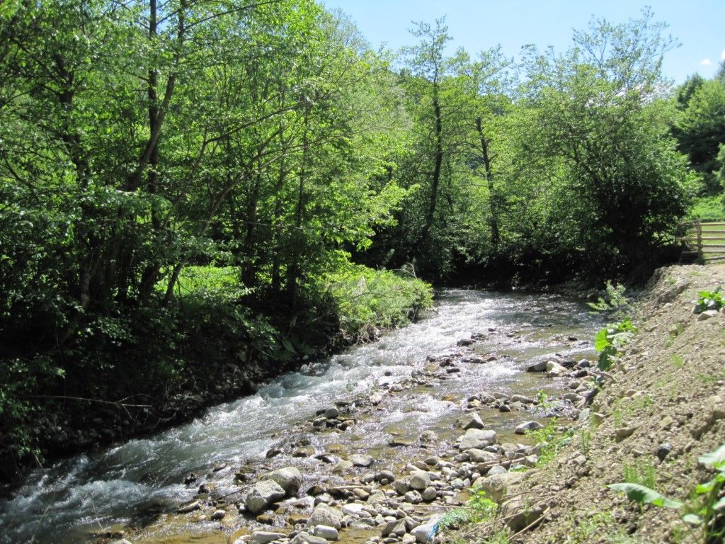 Abant Dört Mevsim Konağı (ALKOLSÜZ) — 3