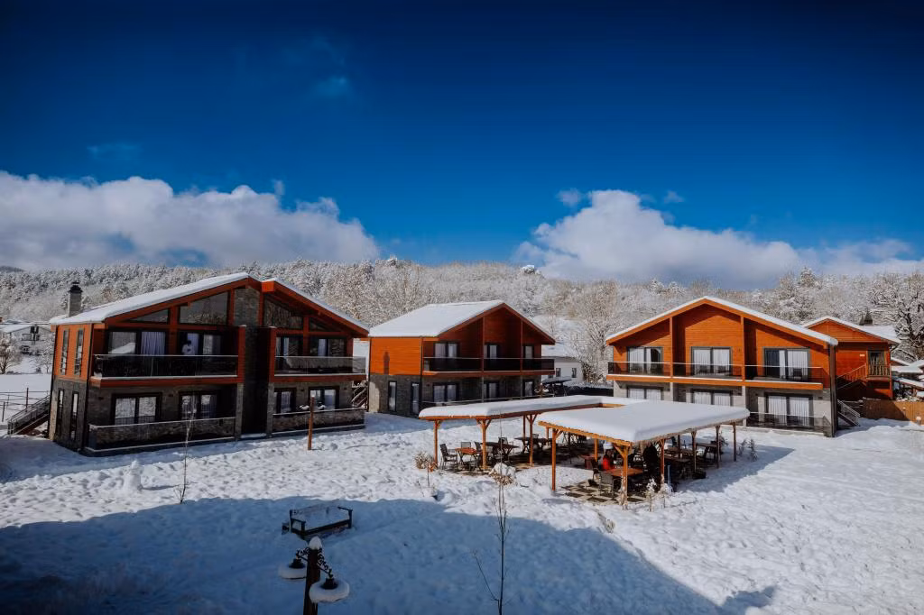 Abant Sedir Park — 2
