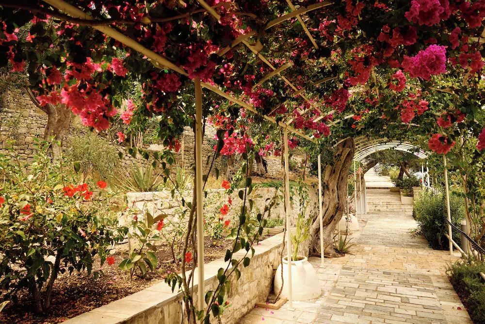 Agali Hotel Paxos — 6