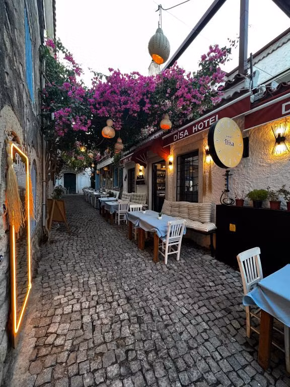 Alaçatı Disa — 2