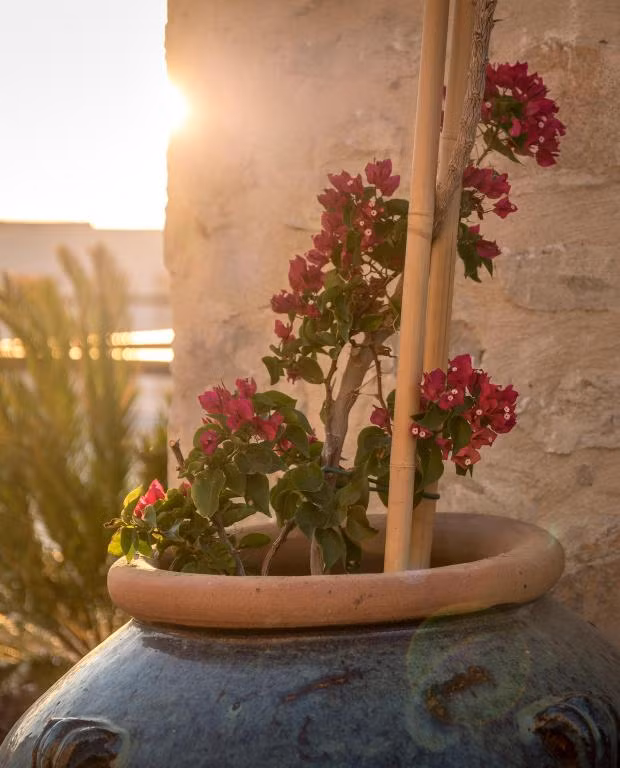 Allium Bodrum Resort & Spa — 2