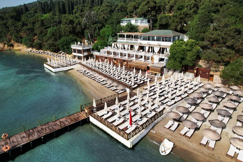 Ank’Ada Ayanikola (12+ Adult Only)