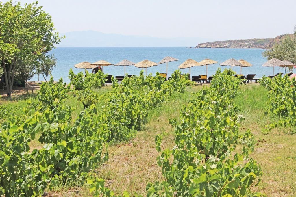 Arşipel Otel — 6