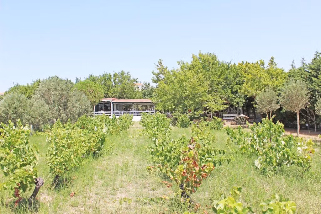 Arşipel Otel — 7