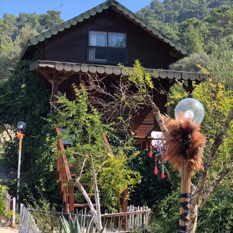 Arzum Bungalovs — 2