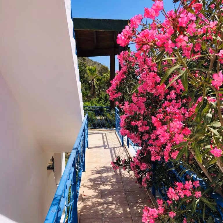 Aslı Motel — 4