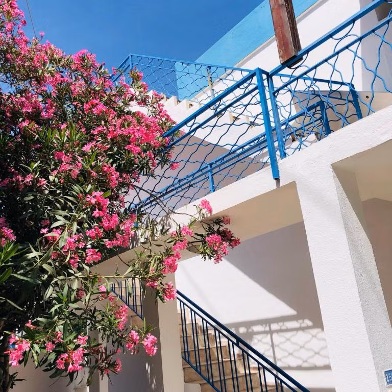 Aslı Motel — 8