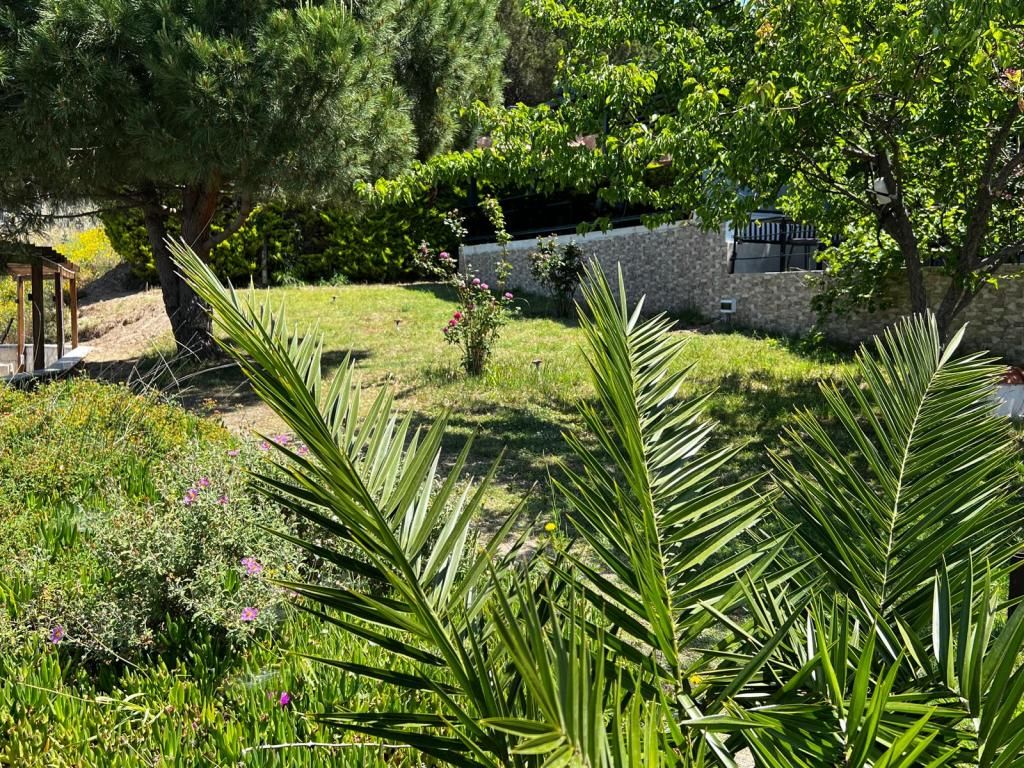Avşa Akvaryum Otel — 4