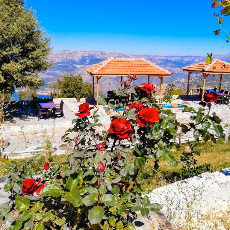 Ayda Doğa Evleri — 9