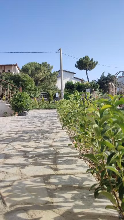 Bazyel Otel — 3
