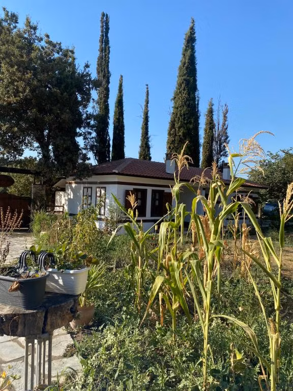 Bağ Evleri Kirazlı — 3