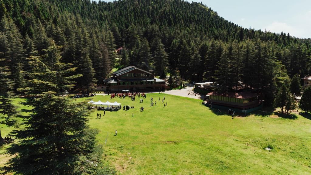 Başkonuş Yaylası Orman Evleri