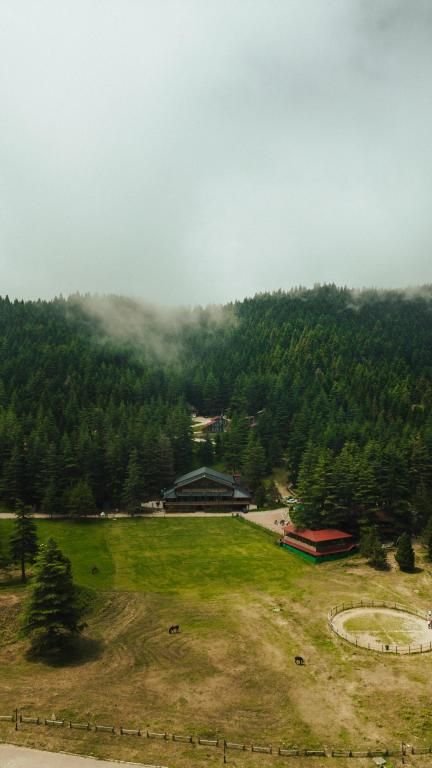 Başkonuş Yaylası Orman Evleri — 9