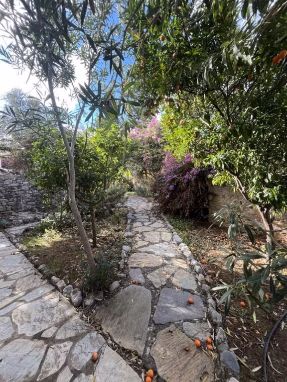 Badem Evi — 3