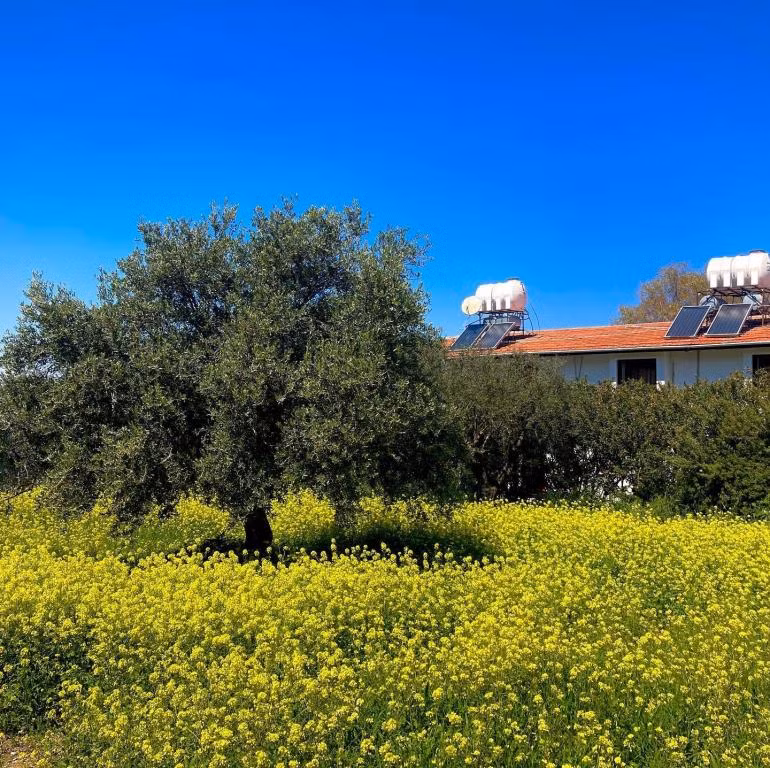 Bare Hill Holiday Village — 9
